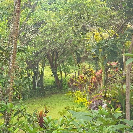 Eco Hotel Manu Viajeros ซานออกุสติน ภายนอก รูปภาพ