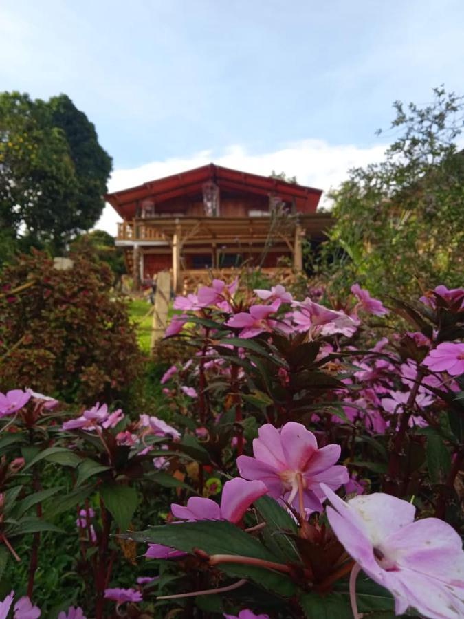 Eco Hotel Manu Viajeros ซานออกุสติน ภายนอก รูปภาพ