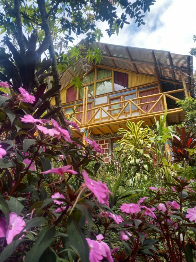 Eco Hotel Manu Viajeros ซานออกุสติน ภายนอก รูปภาพ