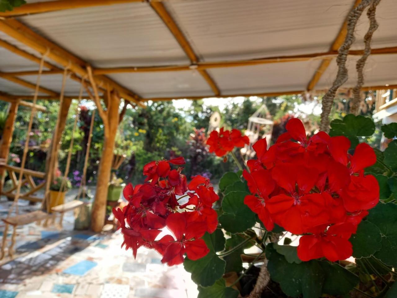 Eco Hotel Manu Viajeros ซานออกุสติน ภายนอก รูปภาพ