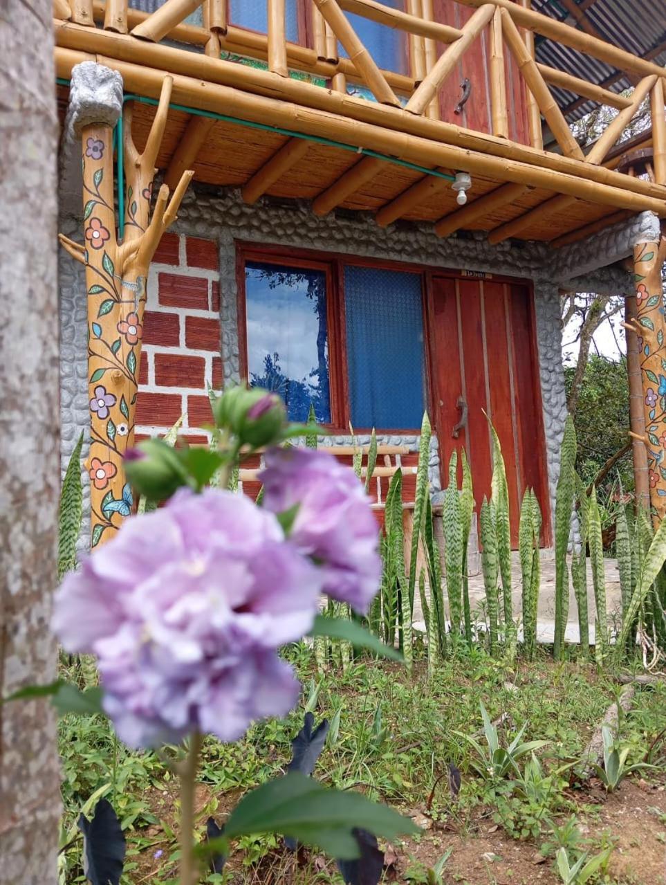 Eco Hotel Manu Viajeros ซานออกุสติน ภายนอก รูปภาพ