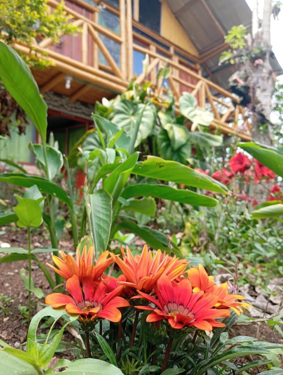 Eco Hotel Manu Viajeros ซานออกุสติน ภายนอก รูปภาพ