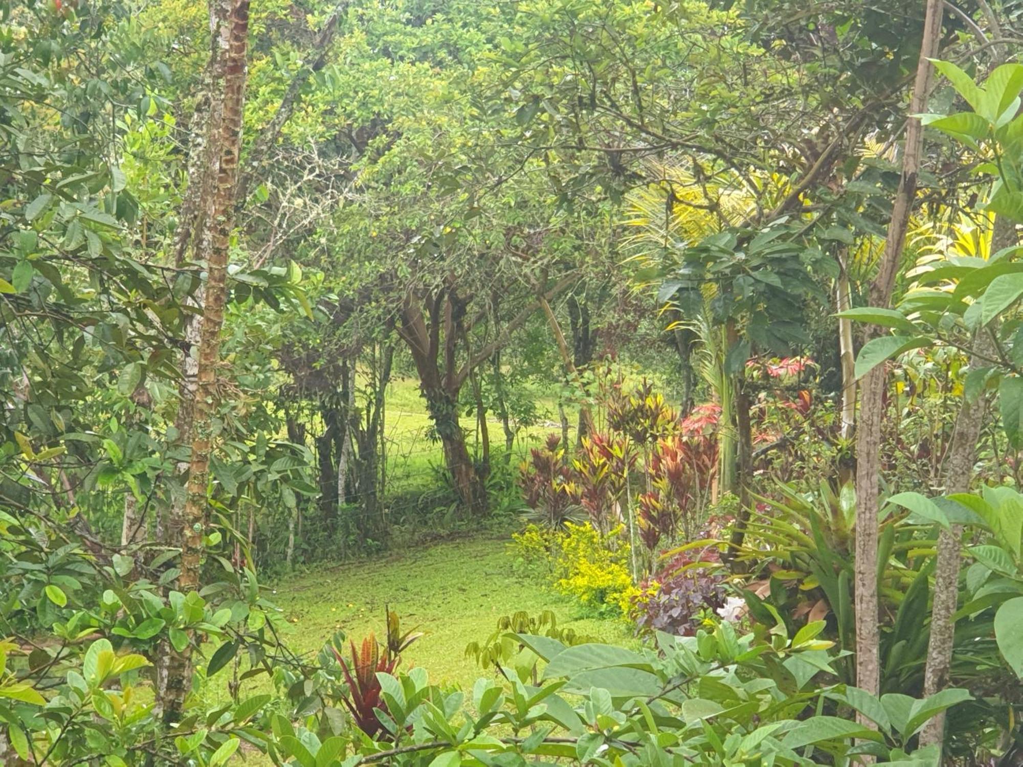 Eco Hotel Manu Viajeros ซานออกุสติน ภายนอก รูปภาพ
