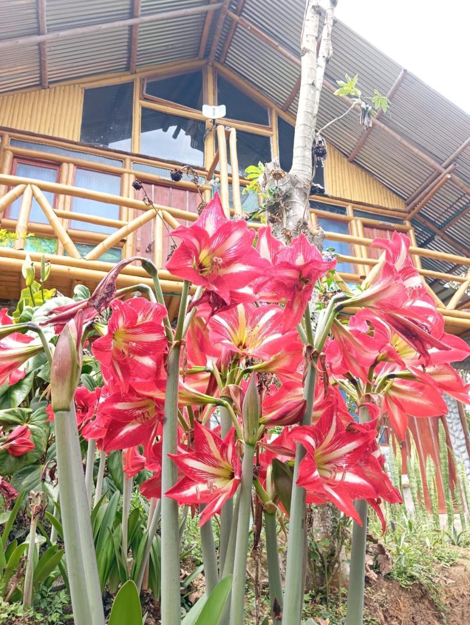 Eco Hotel Manu Viajeros ซานออกุสติน ภายนอก รูปภาพ